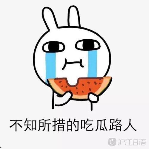 吃瓜熊宝,揭秘娱乐圈的甜蜜瓜田